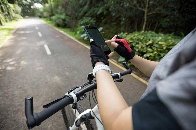 Seguridad en la carretera: Aplicaciones para la detección de accidentes y asistencia