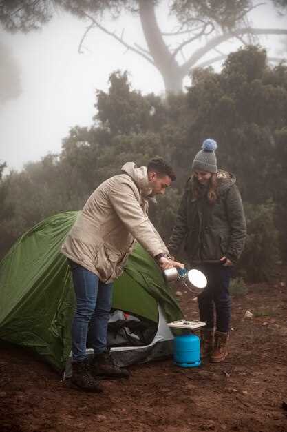 Estrategias para elegir el lugar perfecto para acampar