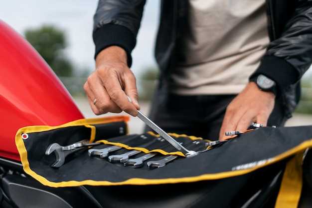 Chequeo y cuidado de la batería de tu moto eléctrica