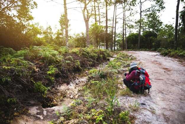 Impacto de los viajes en moto en áreas naturales protegidas Impacto de los viajes en moto en áreas naturales protegidas